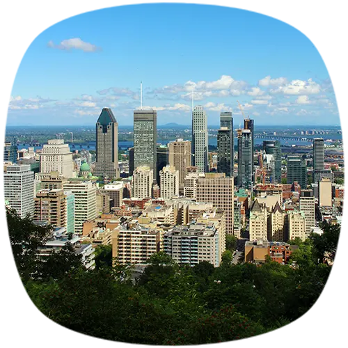 French translation service